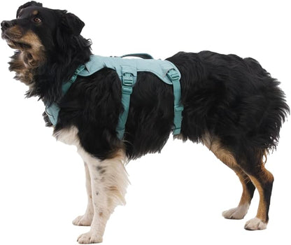 Ruffwear, Web Master, Multi-Use Support Dog Harness, Hiking and Trail Running, Service and Working, Everyday Wear, Basalt Gray, Small