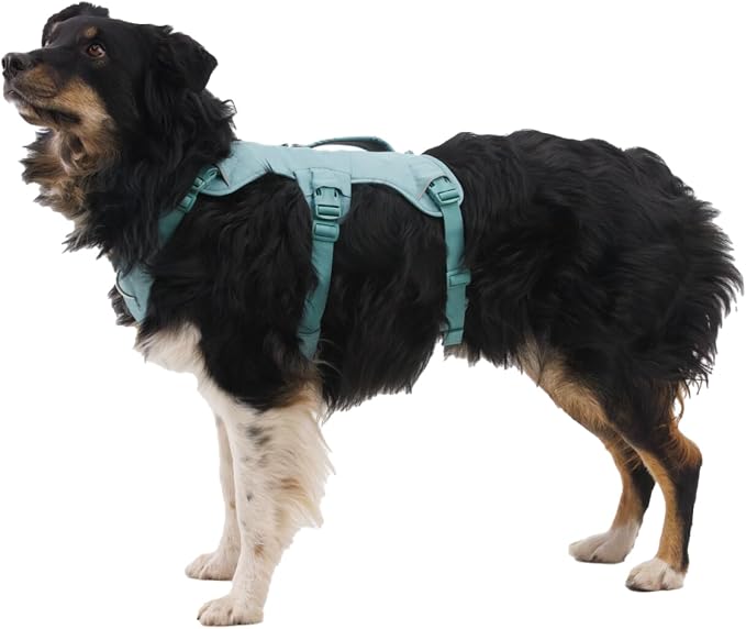 Ruffwear, Web Master, Multi-Use Support Dog Harness, Hiking and Trail Running, Service and Working, Everyday Wear, Red Canyon, XX-Small