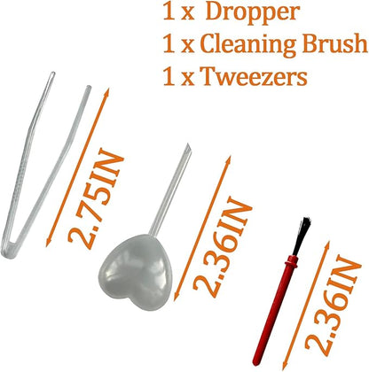 2 PCS Jumping Spider Feeding Dish, Tiny Food Dishes Water Dish with Tweezers，Eyedropper and Cleaning Brush for Jumping Spider, Tarantula and Other Small Pets, Half Round