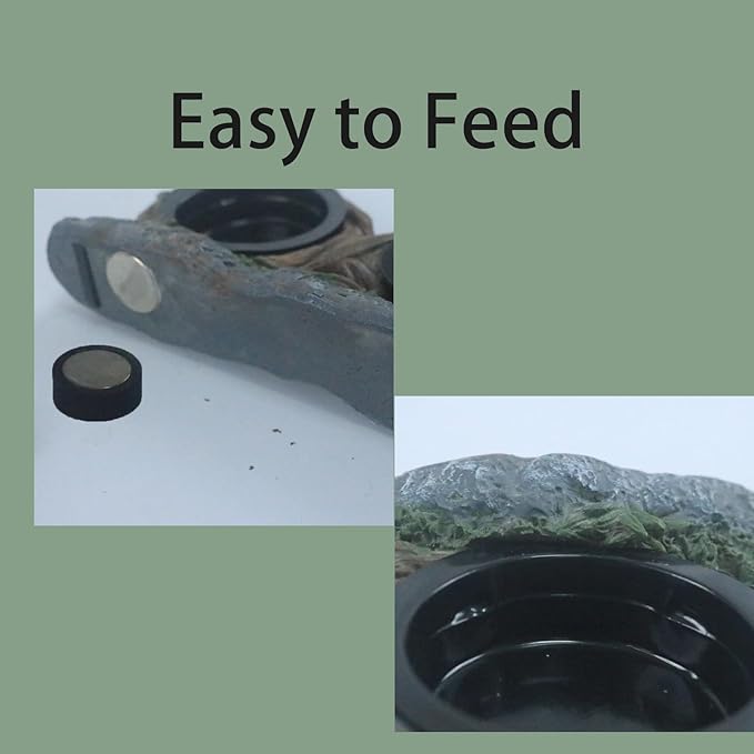 Reptile Feeding Ledge with 4 Cups, Hollow Vine Food Dish & Water Bowl for Bearded Dragon, Gecko, Lizard & Snake – Reptile Tank Accessories for Terrariums