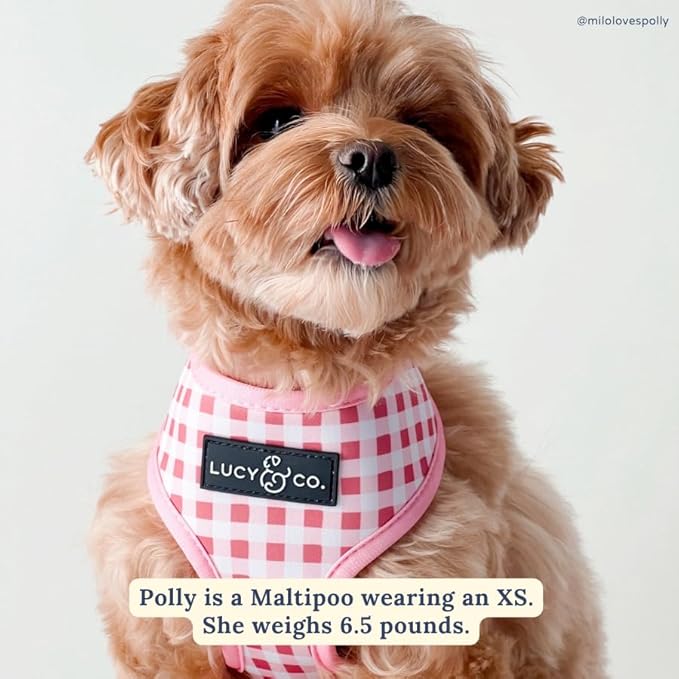 Lucy & Co. Reversible Dog Harness - Water-Repellent Neoprene, Dual-Print Design, Easy Swap Style, Adjustable Comfort Fit - Take a Bow Reversible Harness - X-Small