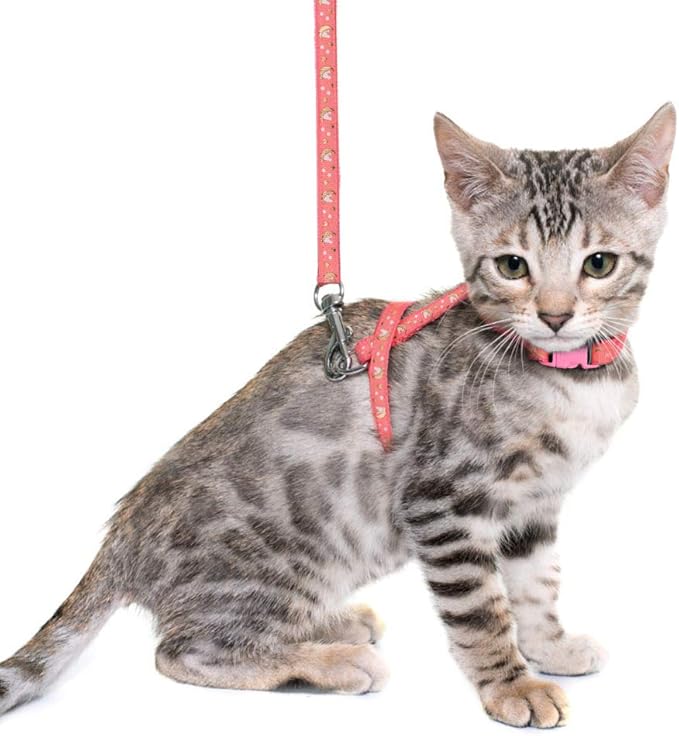 Cat Harness and Leash Set Gold Moons Stars Soft Nylon Escape Proof Adjustable for Kittens Small Animals Glow in The Dark (Pink)