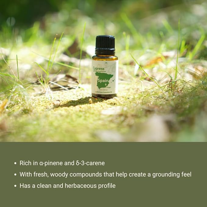 Cypress Essential Oil