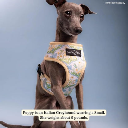 Lucy & Co. Reversible Dog Harness - Water-Repellent Neoprene, Dual-Print Design, Easy Swap Style, Adjustable Comfort Fit - Sunshine Daffodils Reversible Harness - X-Small