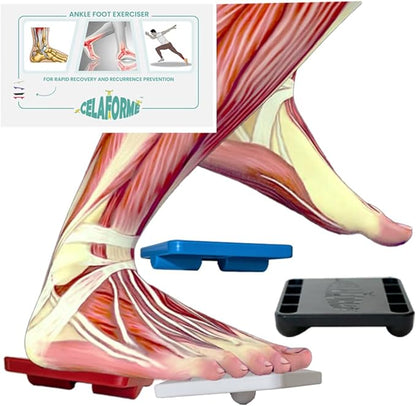 Ankle Foot Exerciser® Ankle Strengthener