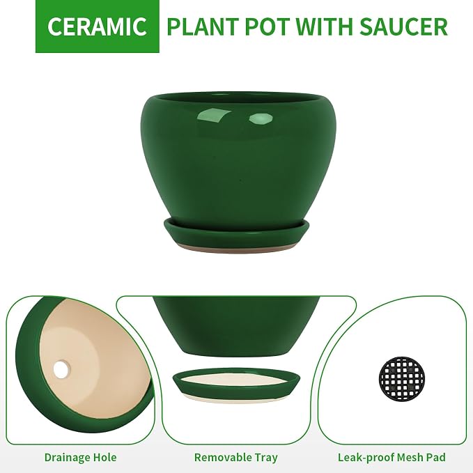 Deep Dream 8 Inch Plant Pots- Ceramic Pots for Plants with Drainage Hole and Saucer, Large Planter Pot for Indoor Plants Outdoor Decor, Green