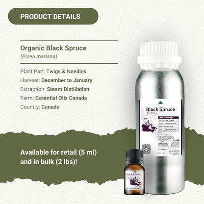 Organic Black Spruce Essential Oil from Canada
