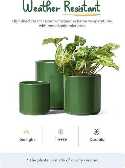 LE TAUCI 10+8+6 Inch Ceramic Pots for Plants, Indoor Planters with Drainage Hole and Plug, Modern Cylinder Flower Pots Set of 3 for Living Room and Kitchen, Glossy, Bamboo Green