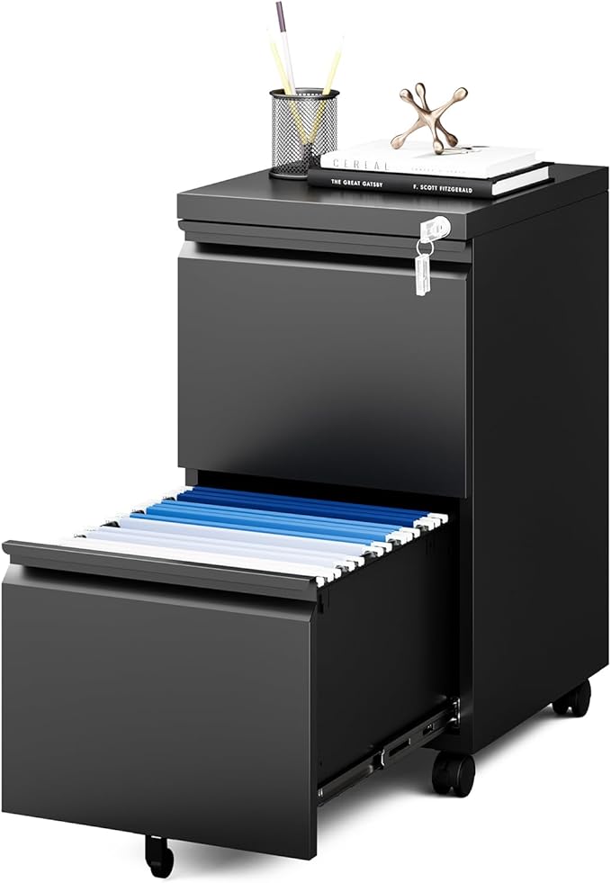 MIIIKO 2 Drawer File Cabinet on Wheels, Home Office Mobile File Drawers Under