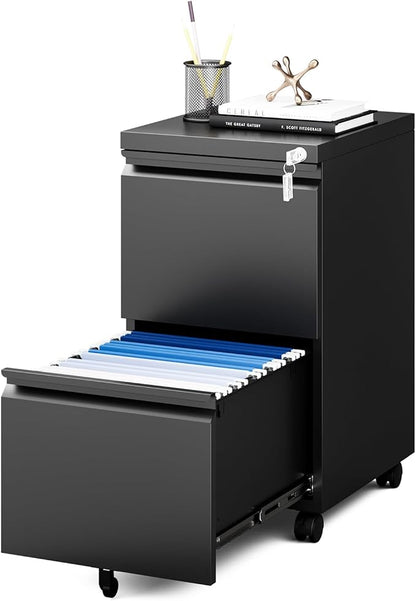 MIIIKO 2 Drawer File Cabinet on Wheels, Home Office Mobile File Drawers Under