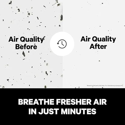 PuroAir 400 Replacement Filter