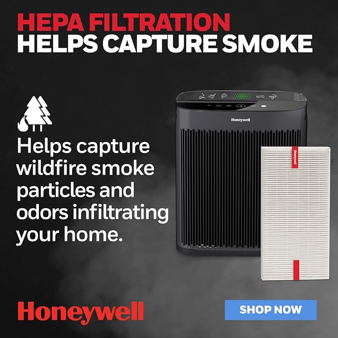 Honeywell HEPA Air Purifier Filter R, 3000 and 5000 Series