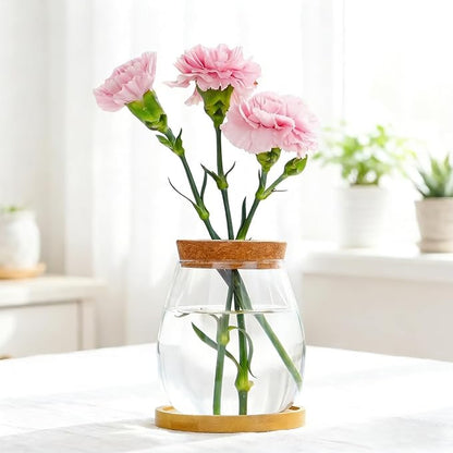 0.5 Gallon Fish Bowl Betta Fish Tank Glass Aquarium with Wood Lid & Bamboo Stand – Hydroponic Plants Planter, Glass Vase, Gift