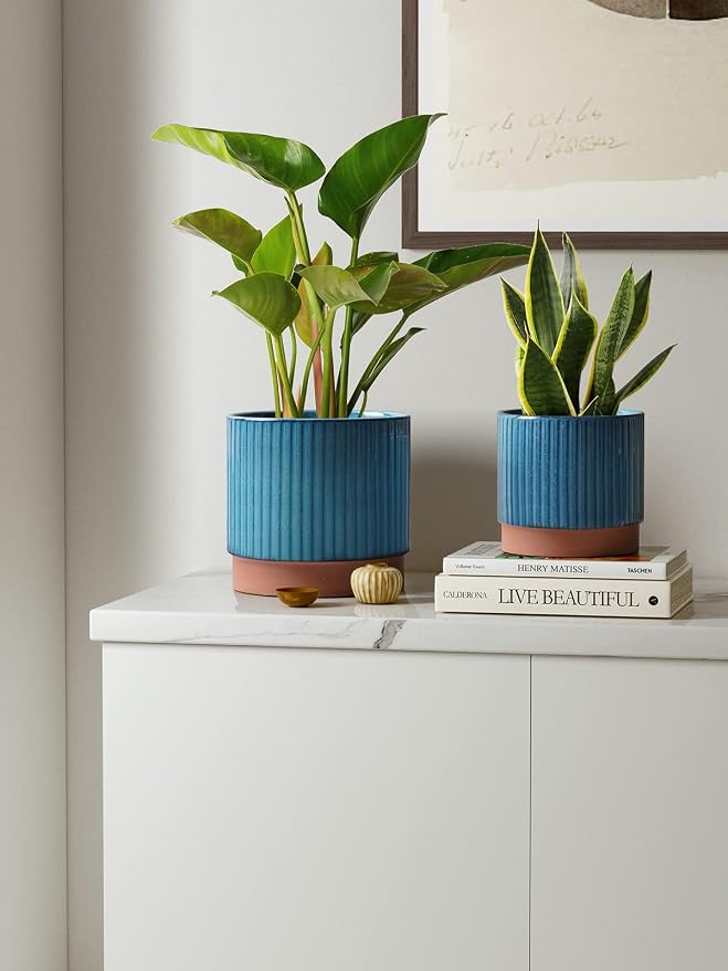 LE TAUCI Ceramic Pots for Plants, 8+6.7+5.5 Inch Plant Pots Indoor, Flower Pot with Drainage Holes, Medium Cylinder Planters for Indoor House Plants, Set of 3, Blue