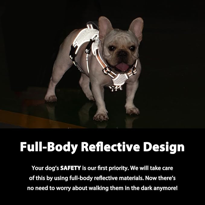 Escape Proof Dog Harness, Dachshund Harness, Reflective Dog Harness with Handle, Durable,Adjustable Vest for Small Medium Large Dogs Walking, Training, and Running Gear (Orange,XL)
