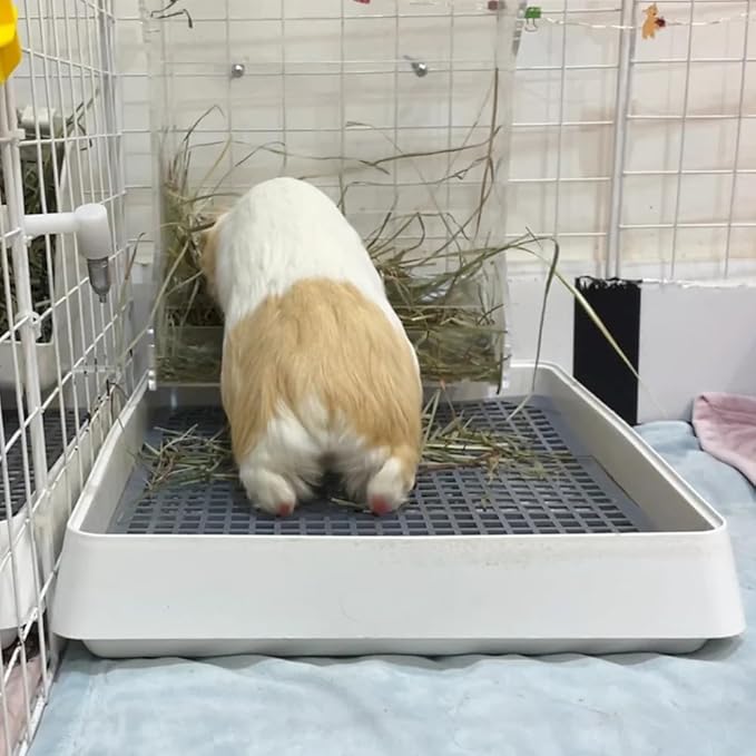 PODOO Rabbit Litter Box – Training Potty Tray for Guinea Pig & Small Pets · Spacious Grid Pan with Low Entrance, Easy-Clean & Odor-Resistant—Helps Keep a Clean Cage and Reduce Mess