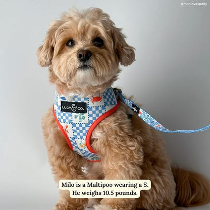 Lucy & Co. Sunny in Sicily Reversible Dog Harness, Adjustable Comfort Fit with Dual Leash Attachments, X-Large