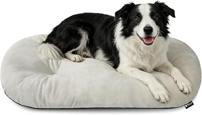 Washable Oval Dog Bed for Large Dogs, Silver-Tipped High-Resilience, Beige | Non-Slip Bottom Prevents Sliding, Soft Plush Short Fur, Machine Washable, Ideal for Crates/Apartments/Cozy Nooks,35"x22"x3.2"