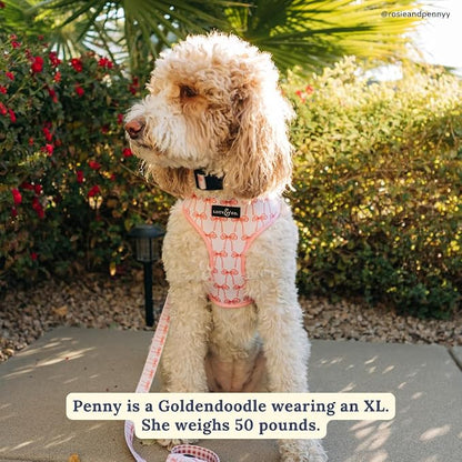 Lucy & Co. Reversible Dog Harness - Water-Repellent Neoprene, Dual-Print Design, Easy Swap Style, Adjustable Comfort Fit - Take a Bow Reversible Harness - X-Small