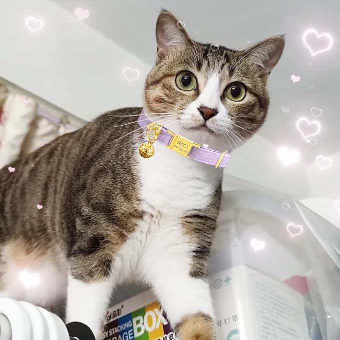 Personalized Breakaway Cat Collars - Magnetic Buckle, Bell - Safety Quick Release, Customized for Girls & Boys Cats - Velvet -Navy