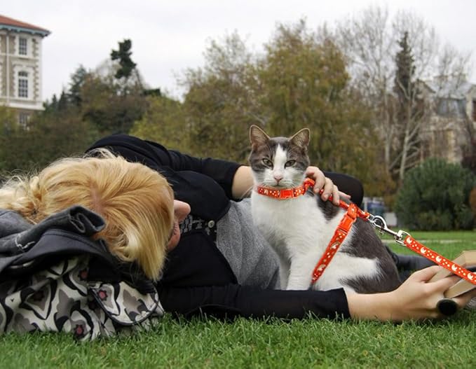 Cat Harness and Leash Set Gold Moons Soft Nylon Escape Proof Adjustable for Kittens Small Animals Glow in The Dark(Orange)