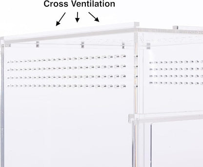 EctoTherm Jumping Spider Enclosure - for Habitat, Terrarium Kit and Arboreal Tarantula Enclosure