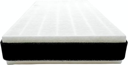 Nispira F1 C01 T02 HEPA Replacement Filter