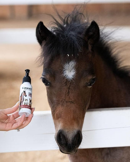 Kawell USA Dragon's Blood Extract Natural Healing Spray for Animal Skin and Wound Care, Healing Ointment & Antiseptic Spray for Injuries, Scrapes, Wounds, Rashes, Bites, and Other Skin Irritations