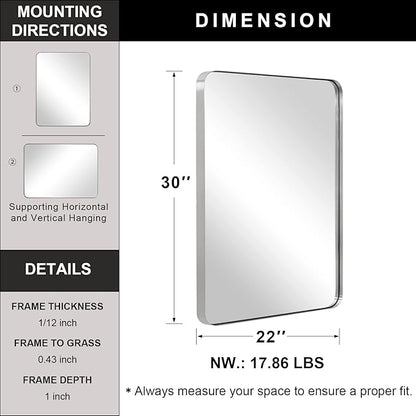 ANDY STAR Brushed Nickel Mirror