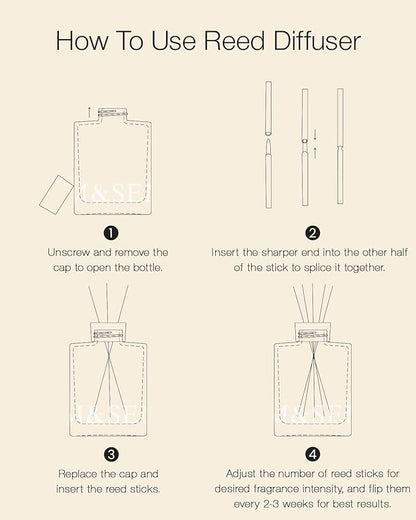 M&SENSE Coconut Lime Reed Diffuser Set