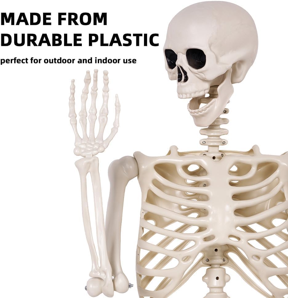 36" Halloween Skeleton - 3 ft Life Size Human Skeleton with Full Body Posable Joints - Spooky Scary Plastic Skeletons for Outdoor Decoration, Halloween Party Decor, Haunted House Props