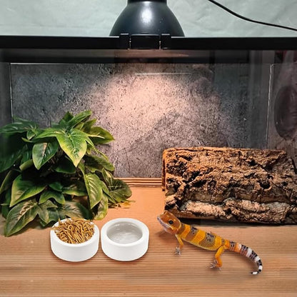 3 Pack Small Reptile Feeding Bowl Ceramic Food and Water Dish for Tarantula Hermit Crab Lizard Gecko Frog Turtle Small Reptile (White)