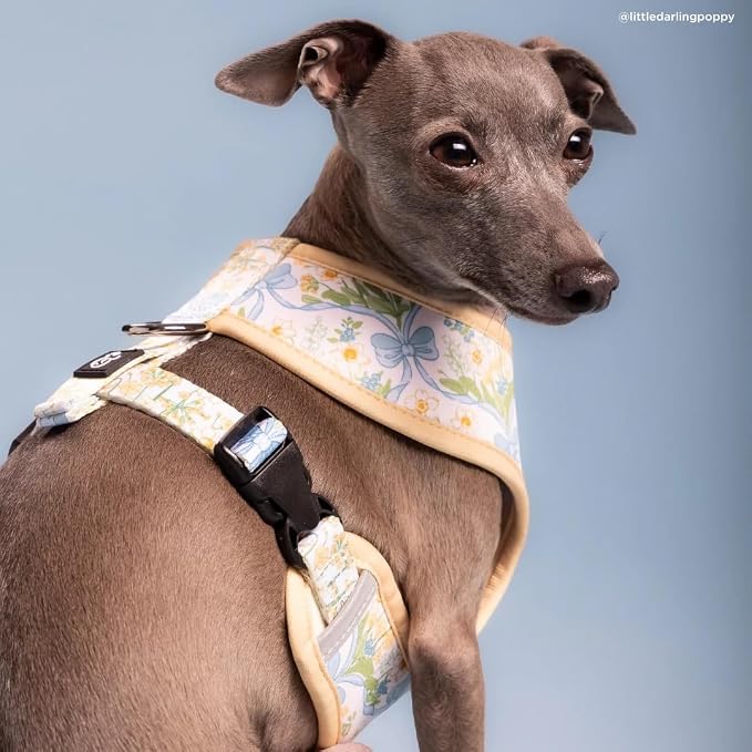 Lucy & Co. Reversible Dog Harness - Water-Repellent Neoprene, Dual-Print Design, Easy Swap Style, Adjustable Comfort Fit - Sunshine Daffodils Reversible Harness - X-Small