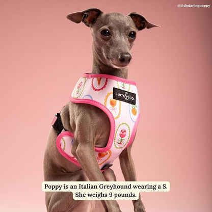 Lucy & Co. Dolce Vita Reversible Dog Harness, Adjustable Comfort Fit with Dual Leash Attachments, Large
