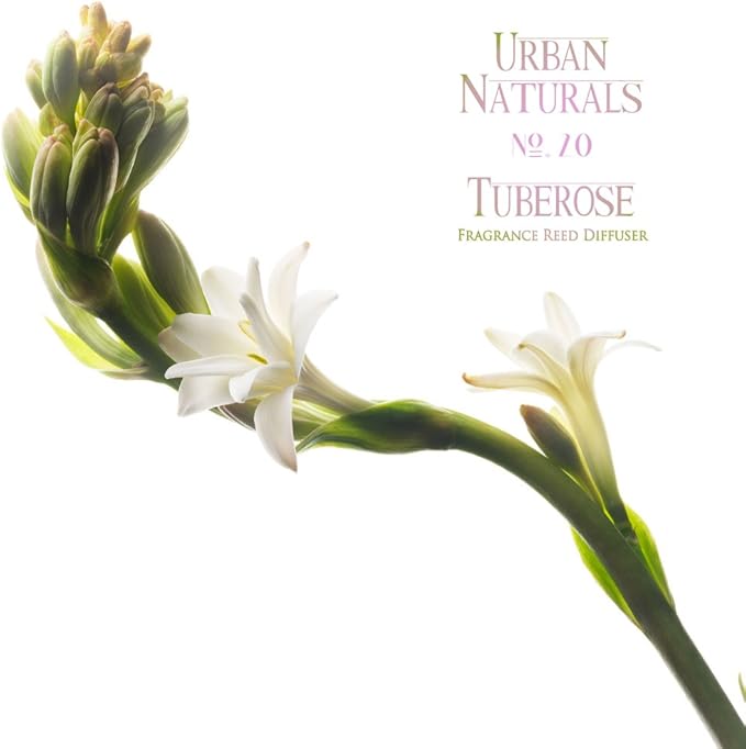 Urban Naturals Tuberose Fragrance Oil Reed Diffuser | Exotic Tuberose and