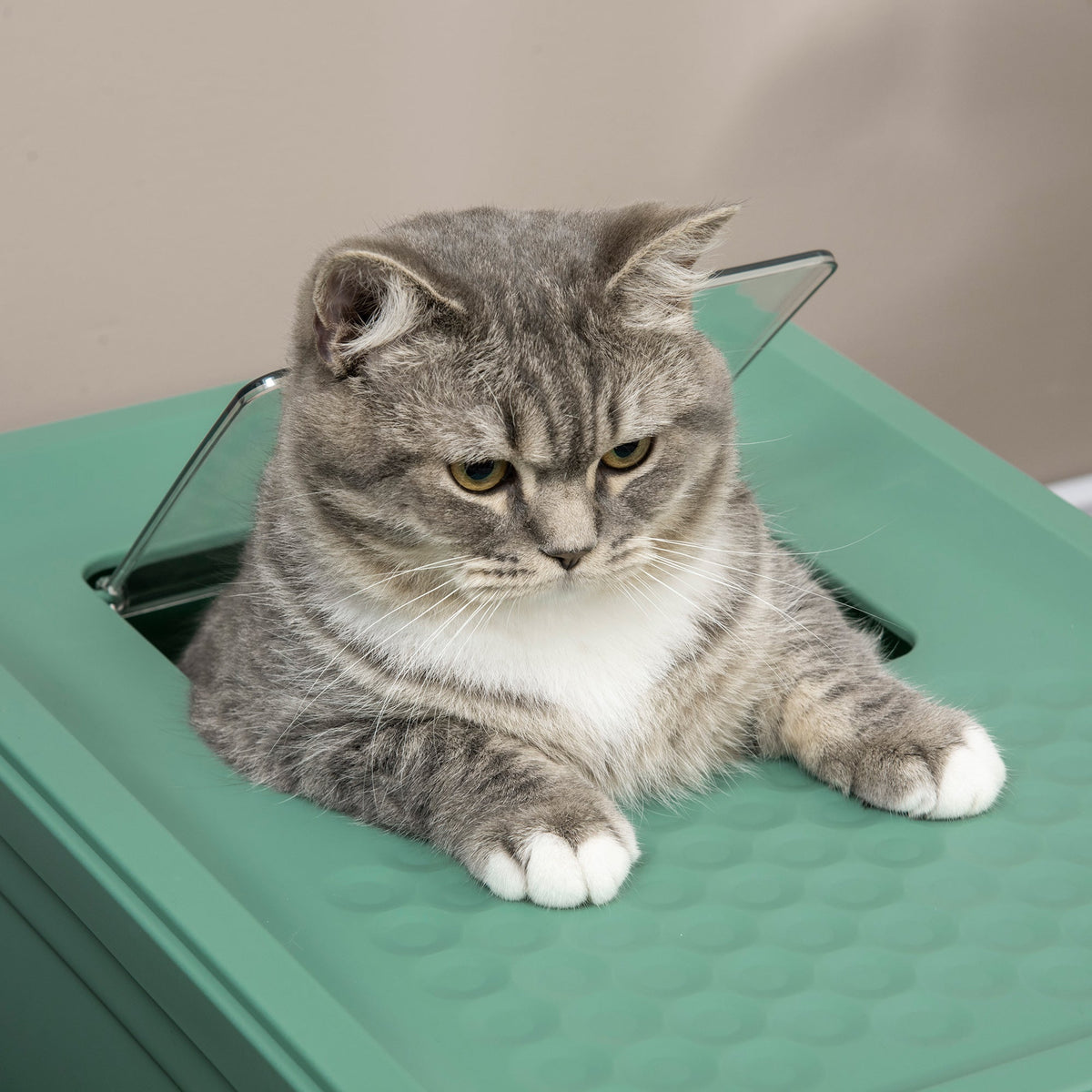 Fully Enclosed Cat Litter Box with Front Entry and Top Exit, Plastic, Green & White