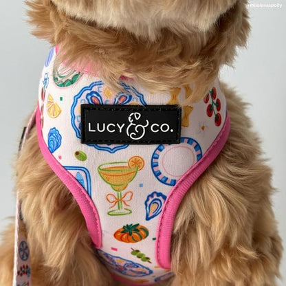 Lucy & Co. Dolce Vita Reversible Dog Harness, Adjustable Comfort Fit with Dual Leash Attachments, Large