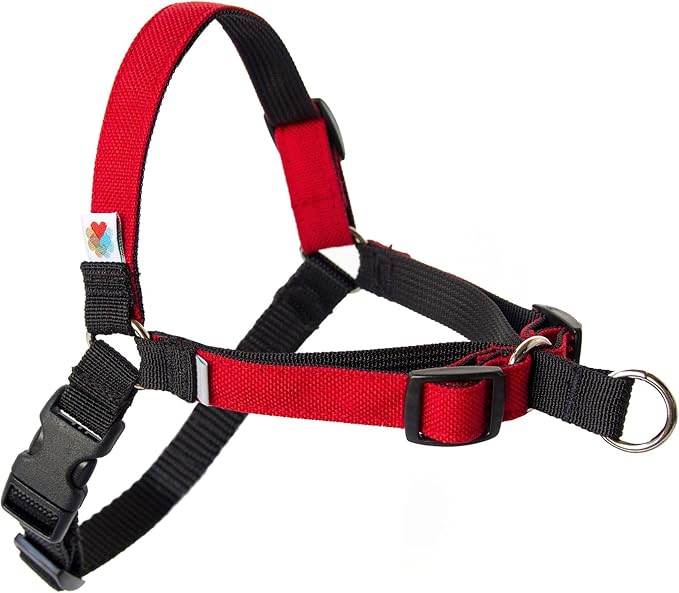 No Pull Dog Harness | Comfortable Training Harnesses | Effective No Pull Harness Design | Ideal for Small Dog and Puppy | 4-Point Adjustable (XS - 15~20 inch Girth, Red)