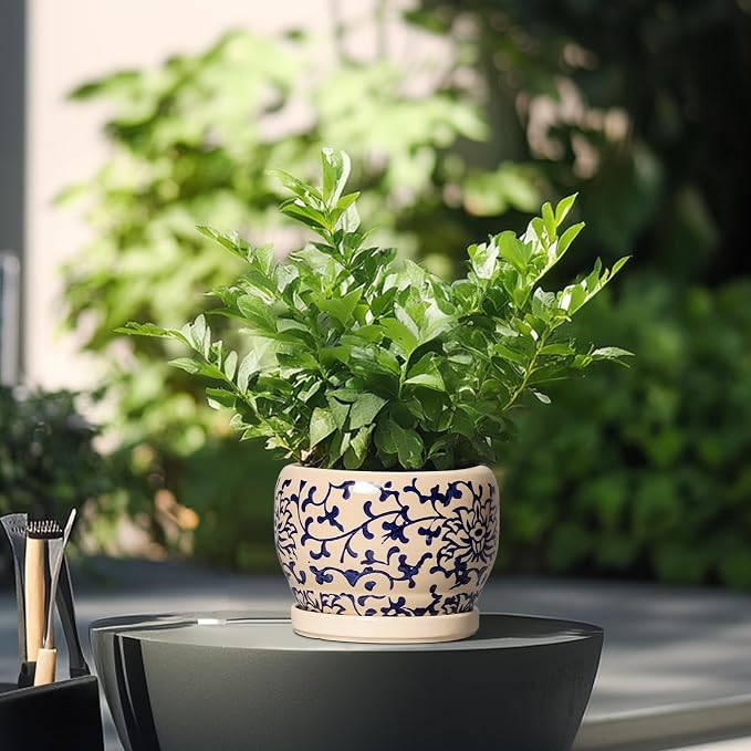 SQOWL Ceramic Flower Pots - 6 Inch Plant Pot Indoor with Drainage Hole and Saucer, Porcelain Ceramic Planter Outdoor, Decorative Round Small Planter, House Decor, Plant Lover Gifts, Blue and Beige