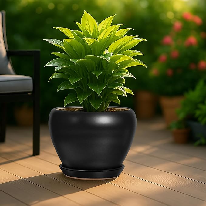 Deep Dream 10 Inch Plant Pot- Ceramic Planter Pot Round Plant Pots for Indoor Plants Outdoor Large Flower Pot with Drainage Holes & Trays, Black
