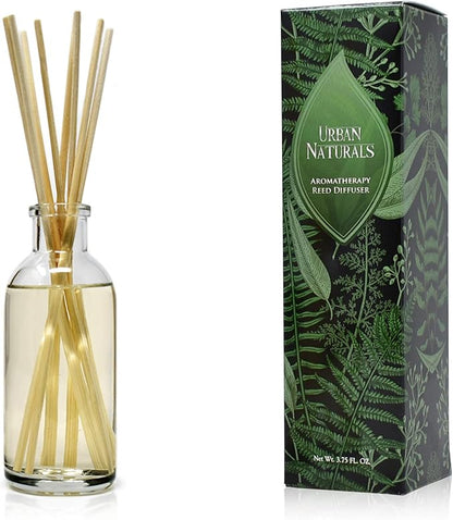 Urban Naturals Coconut Breeze Reed Diffuser Oil Set