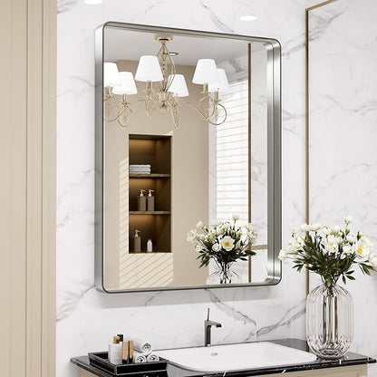 LOAAO 24X30 Inch Brushed Nickel Bathroom Mirror, Rounded Rectangle Silver Metal