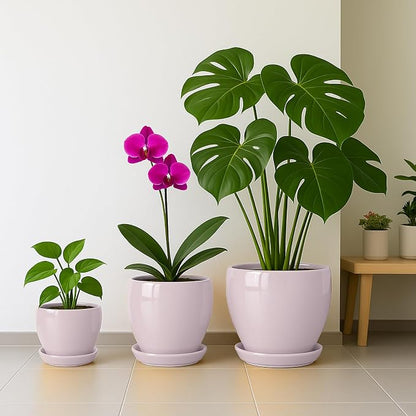 Deep Dream 10 Inch Plant Pot- Ceramic Planter Pot Round Plant Pots for Indoor Plants Outdoor Large Flower Pot with Drainage Holes & Trays, Pink