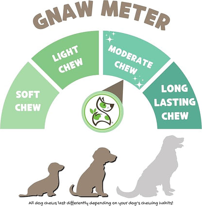 Nature Gnaws Braided Gnaws for Dogs 5-6" (3 Count) - Long Lasting for Small and Medium Dogs - Natural Beef Bully Stick Combo Braids - Rawhide Free