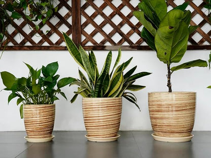 10 Inch Plant Pot Ceramic Pots for Plants with Drainage Hole and Saucer Round Flower Pot for Home Patio Garden Office Yellow