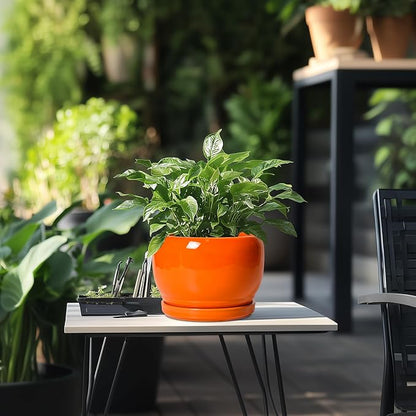 SQOWL Ceramic Pot for Plants - 8 Inch Plant Pot Indoor Outdoor, Modern Round Planter with Drainage Hole and Saucer, Decorative Planter for Flower, Office Decor, Garden Gifts for Women, Orange