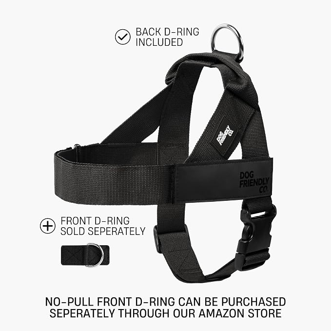 Dog Friendly Co. Dog Harness for Large Dogs (Neon Green, Large) | One Click Buckle, Chafe Resistant Webbing, Adjustable Neck & Chest, and Heavy Duty D-Ring, Sturdy Comfortable and Easy to Use