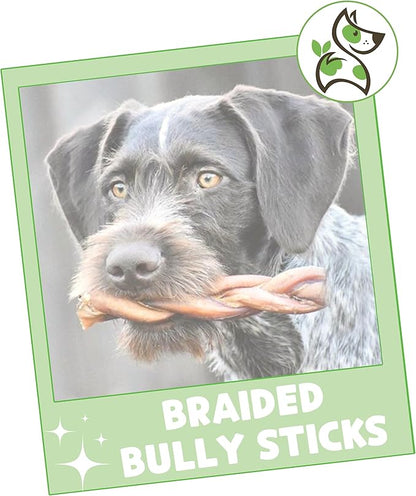 Nature Gnaws Braided Bully Sticks for Dogs 5-6" (10 Count) - Long Lasting for Small and Medium Dogs - Natural Beef Dog Chew Bones - Rawhide Free