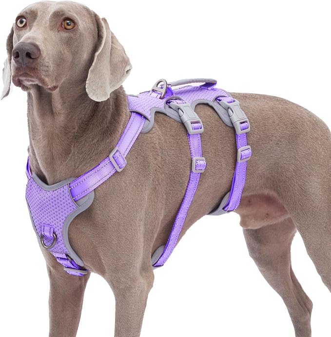 Escape Proof Dog Harness,No Pull Reflective Harness with Lift Handle,Adjustable Pet Vest with Front and Back Leash Clips for Small Medium Large Dogs Walking Hiking Training(Lavender Purple,XL)