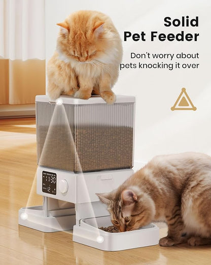 oneisall Automatic Cat Feeder for 2 Cats, 20 Cups/5L Automatic Cat Food